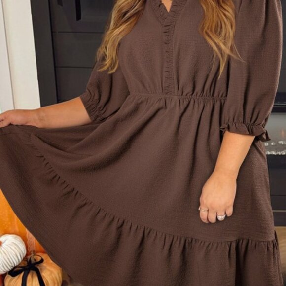 Plus Size Frilled Trim V-Neck Puff Sleeve Textured Dress - Picture 3 of 4